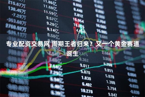 专业配资交易网 周期王者归来？又一个黄金赛道诞生