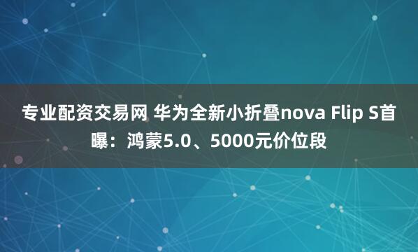 专业配资交易网 华为全新小折叠nova Flip S首曝：鸿蒙5.0、5000元价位段