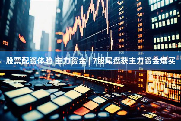 股票配资体验 主力资金 | 7股尾盘获主力资金爆买