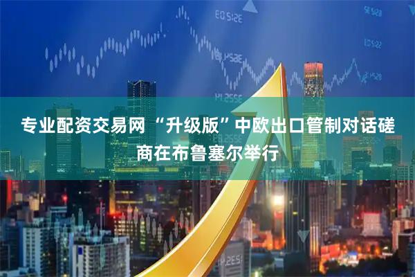 专业配资交易网 “升级版”中欧出口管制对话磋商在布鲁塞尔举行
