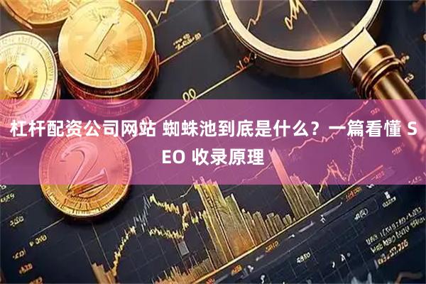 杠杆配资公司网站 蜘蛛池到底是什么？一篇看懂 SEO 收录原理
