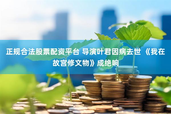 正规合法股票配资平台 导演叶君因病去世 《我在故宫修文物》成绝响